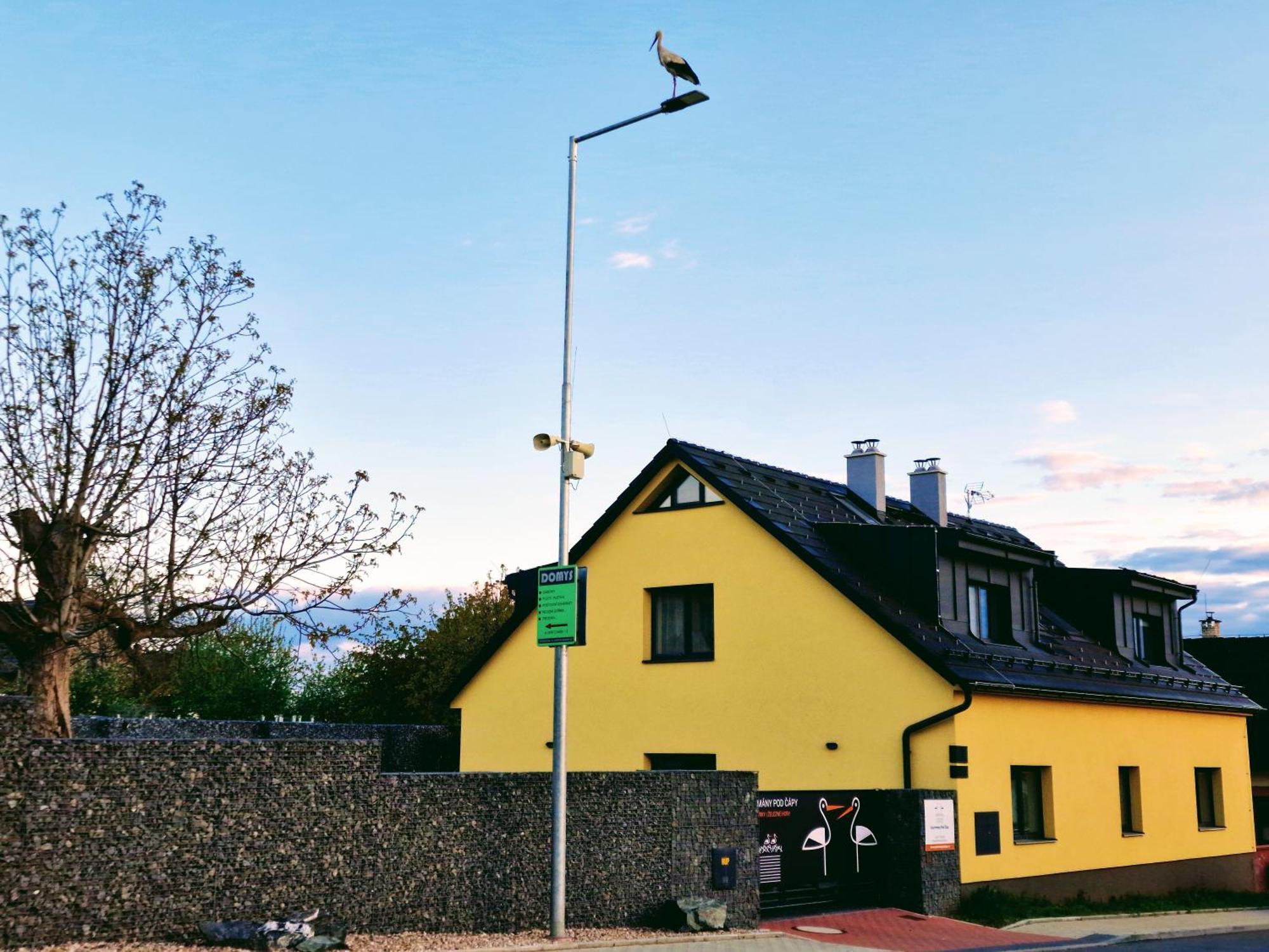 Apartmany Pod Capy, Nasavrky Exterior photo
